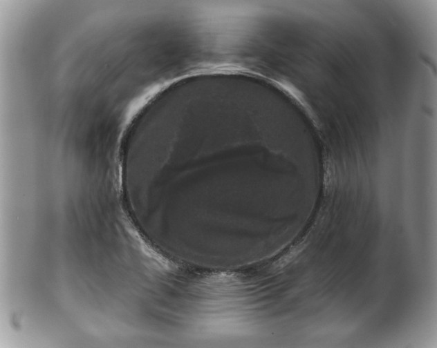 X0000102031414200807251341