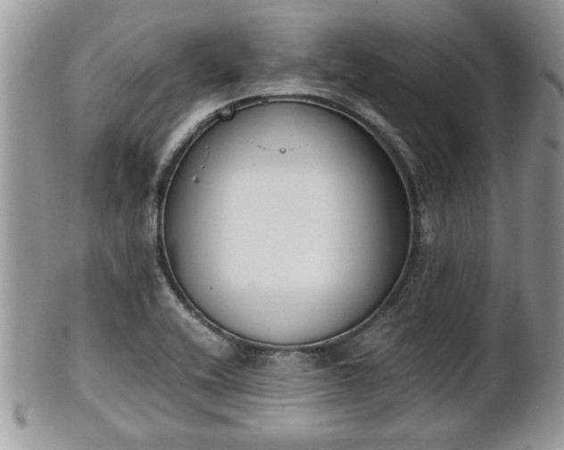 X0000102031416200807251341