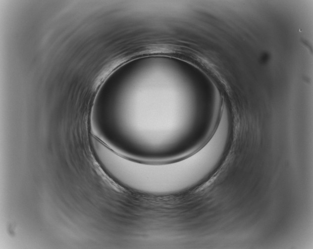 X0000102031417200807251341