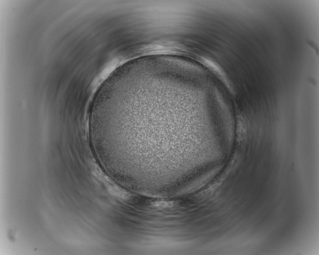 X0000102031419200807251341