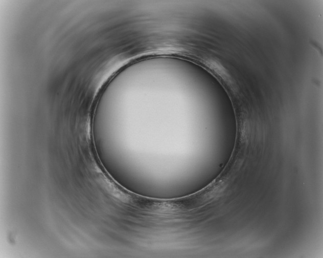 X0000102031420200807251341