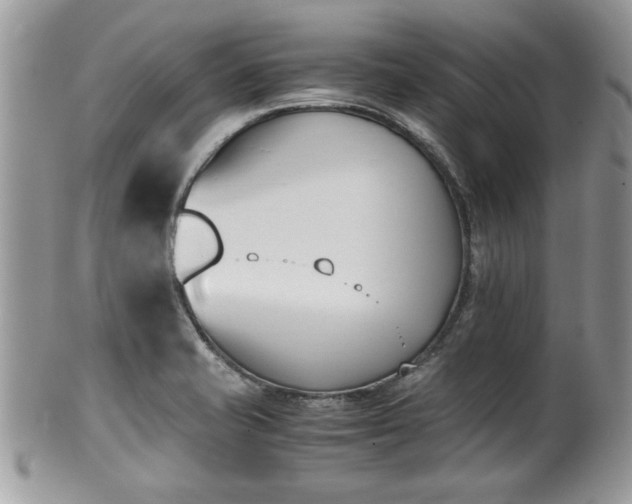 X0000102031421200807251341