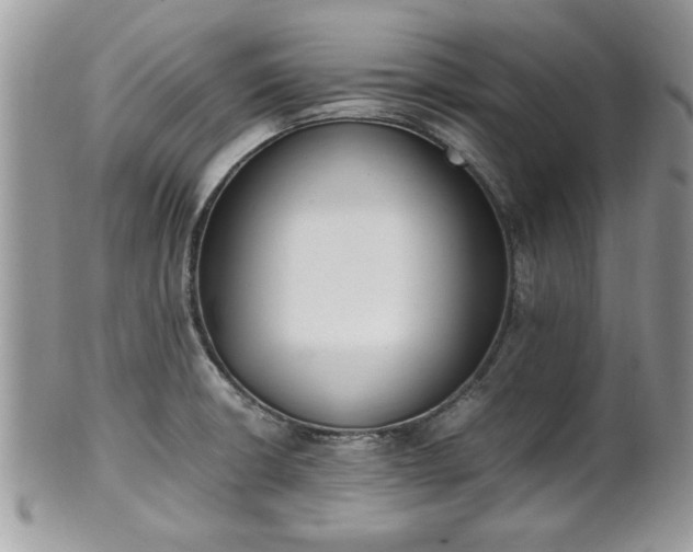 X0000102031426200807251341