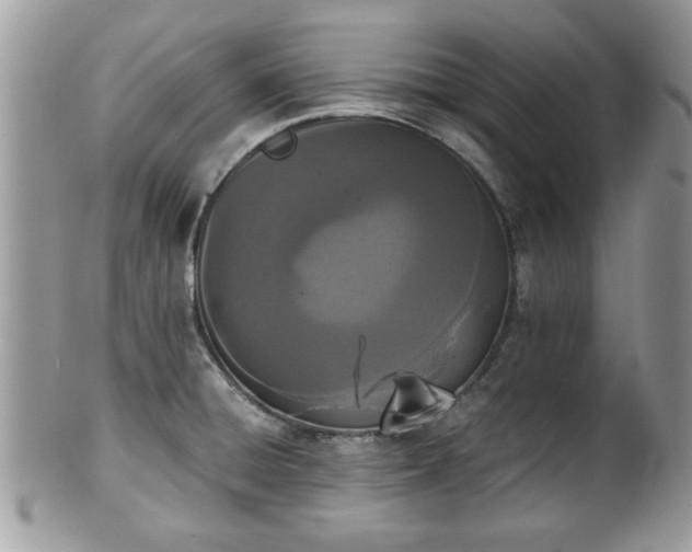 X0000102031428200807251341