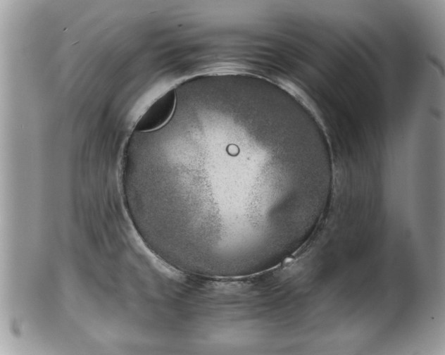 X0000102031429200807251341