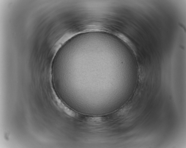 X0000102031431200807251342