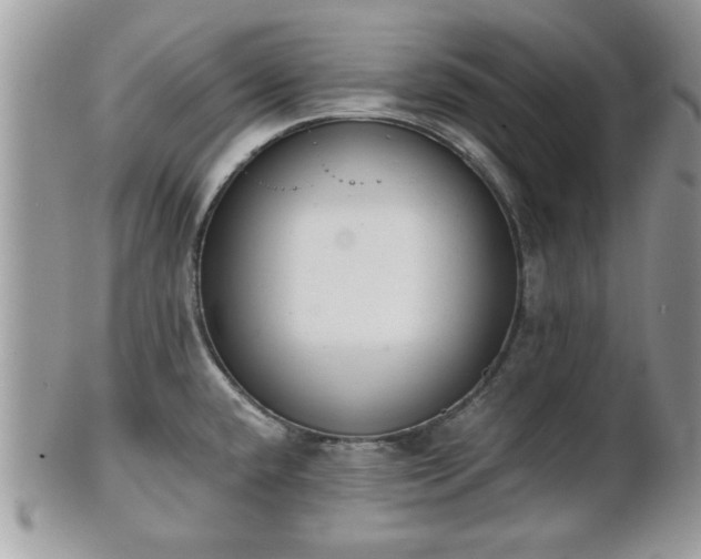 X0000102031432200807251342