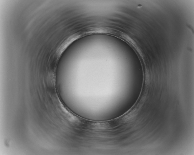 X0000102031433200807251342