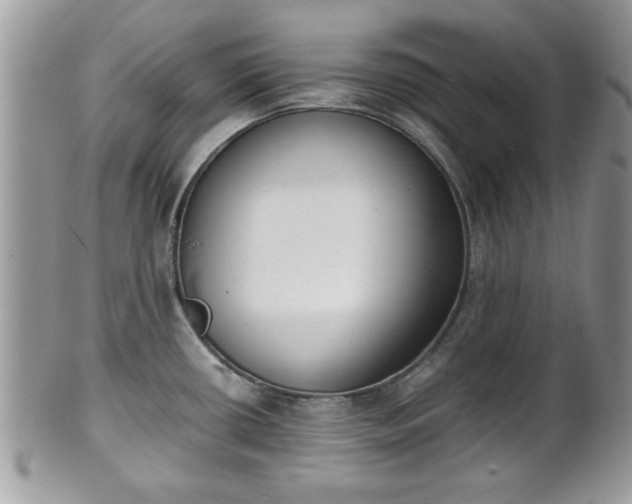 X0000102031434200807251342