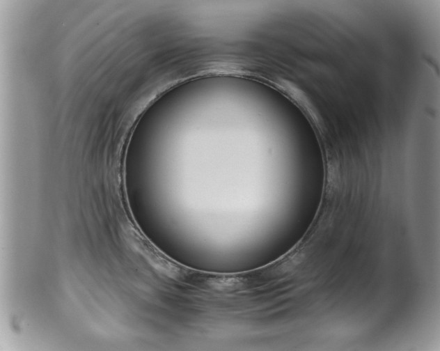 X0000102031435200807251342