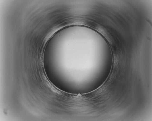 X0000102031436200807251342