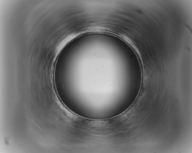 X0000102031437200807251342