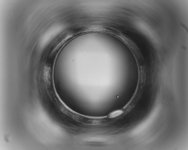 X0000102031438200807251342