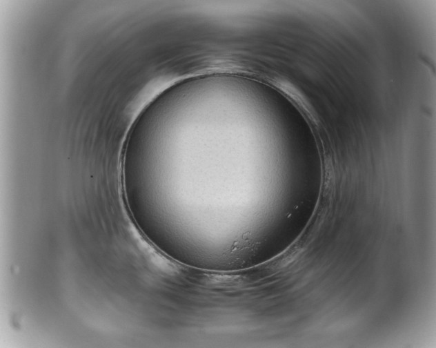 X0000102031439200807251342