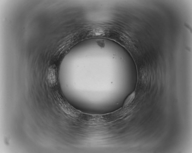 X0000102031442200807251341