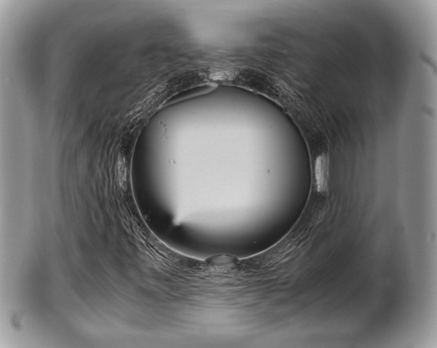 X0000102031443200807251341