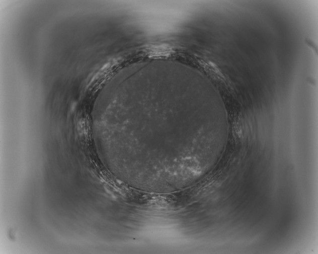 X0000102031445200807251341