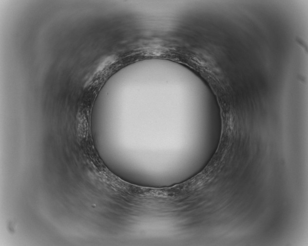 X0000102031446200807251341