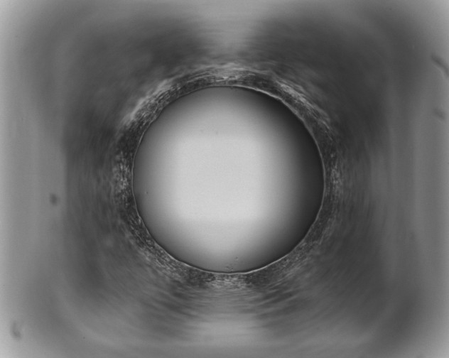 X0000102031447200807251341