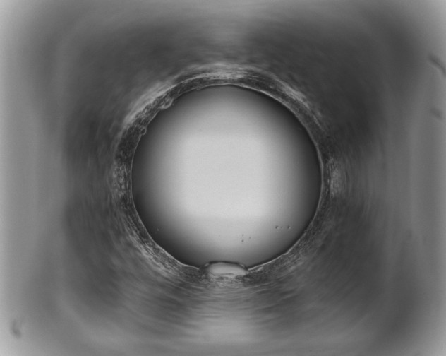 X0000102031448200807251341