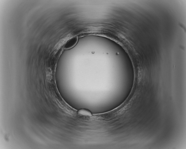 X0000102031449200807251341