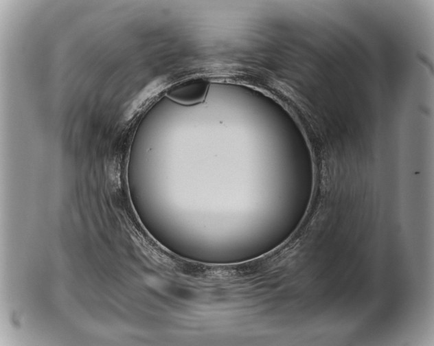 X0000102031451200807251341