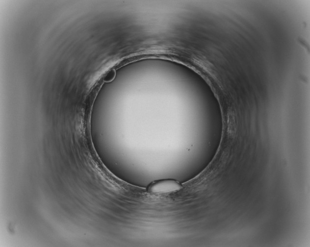 X0000102031452200807251341