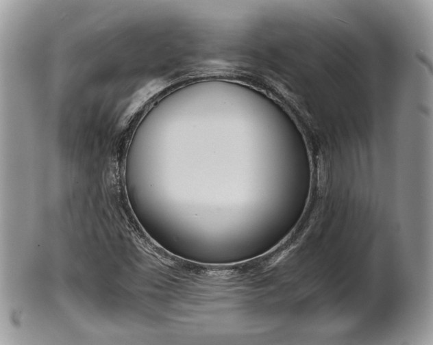 X0000102031453200807251341