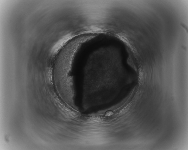 X0000102031455200807251341