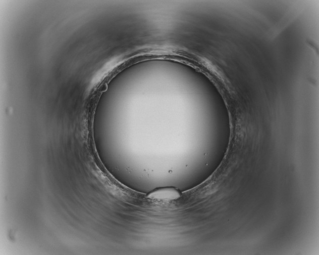 X0000102031456200807251341