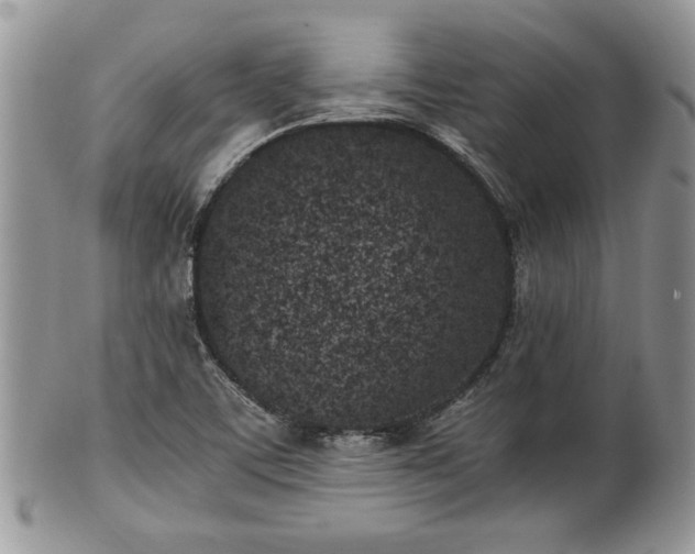 X0000102031459200807251341