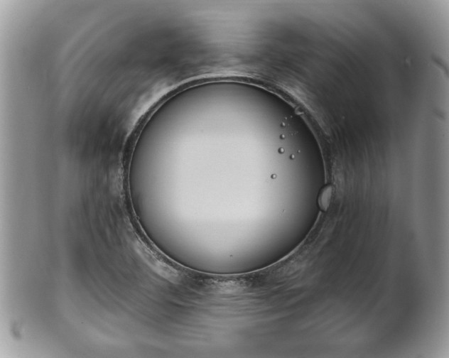 X0000102031460200807251341