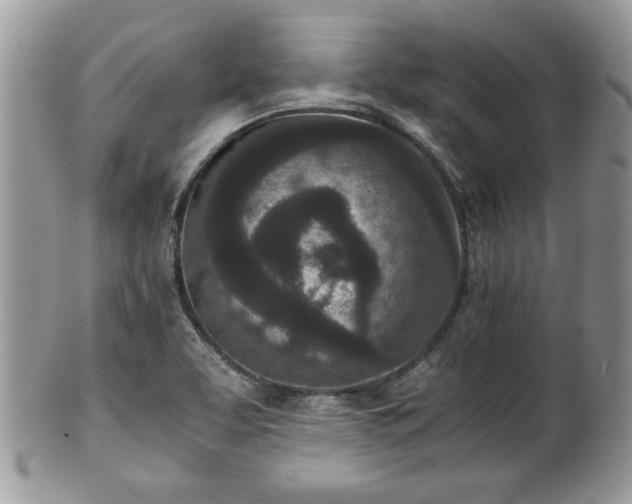 X0000102031463200807251340