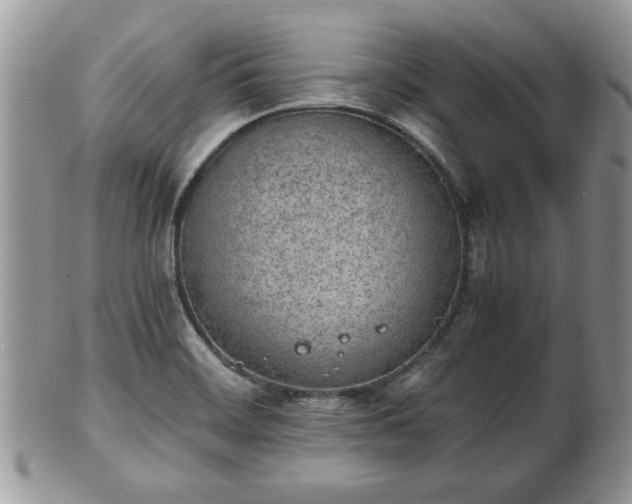 X0000102031468200807251340