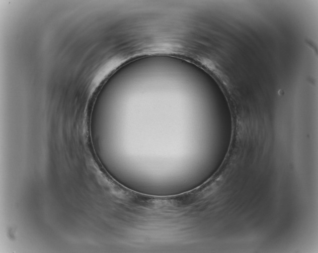 X0000102031469200807251340