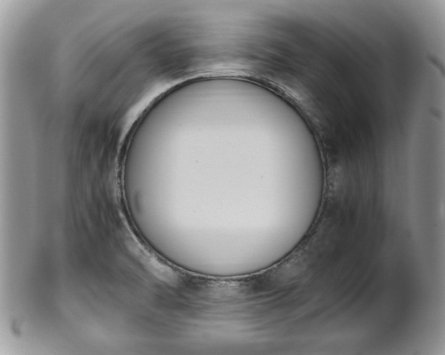 X0000102031470200807251340