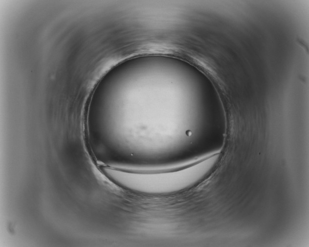 X0000102031471200807251340