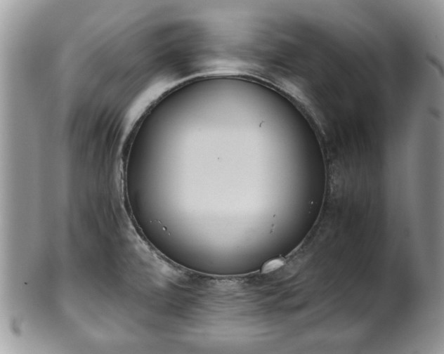 X0000102031472200807251340