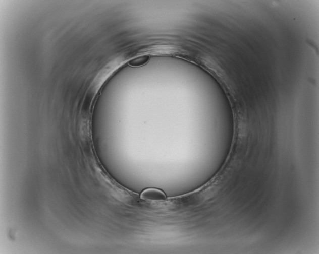 X0000102031473200807251340