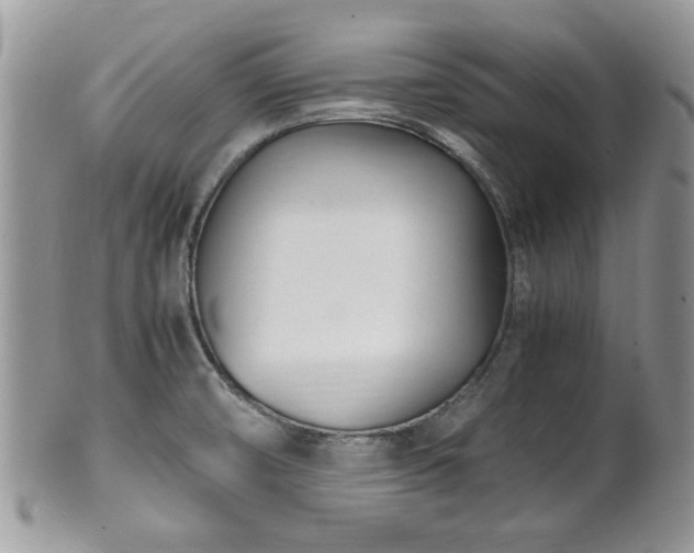 X0000102031474200807251340