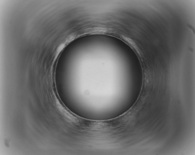 X0000102031475200807251340