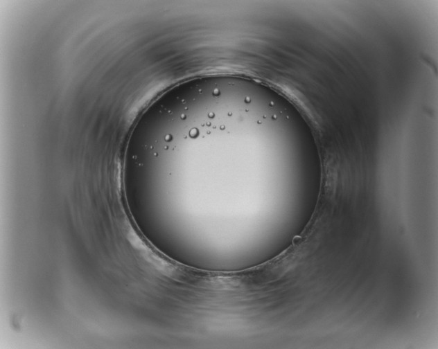 X0000102031476200807251340