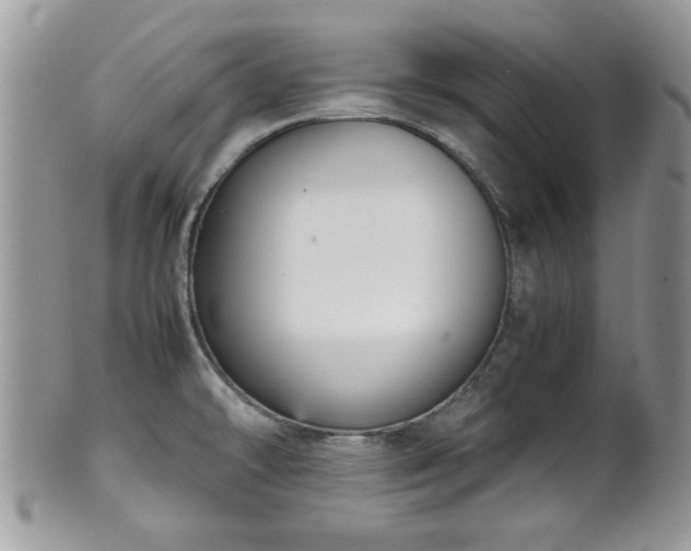 X0000102031478200807251340