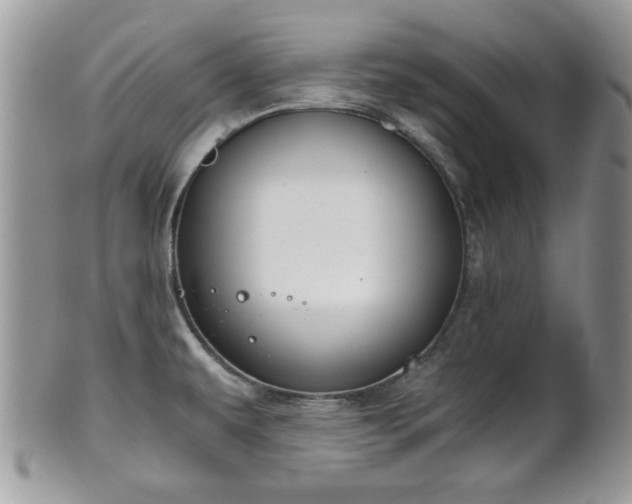 X0000102031479200807251340