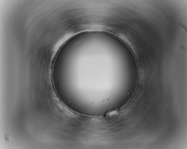 X0000102031480200807251340