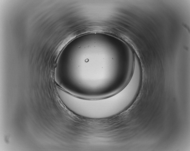 X0000102031481200807251340