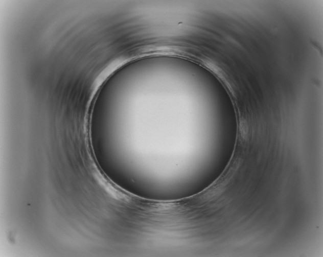 X0000102031482200807251340