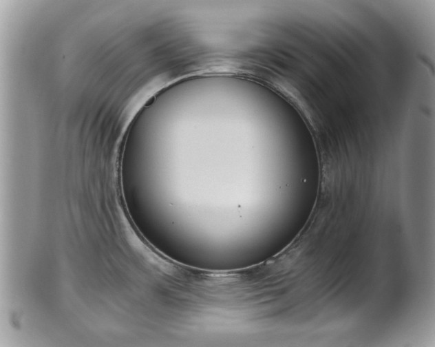 X0000102031483200807251340