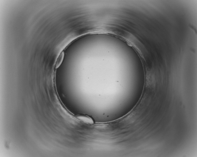 X0000102031484200807251340