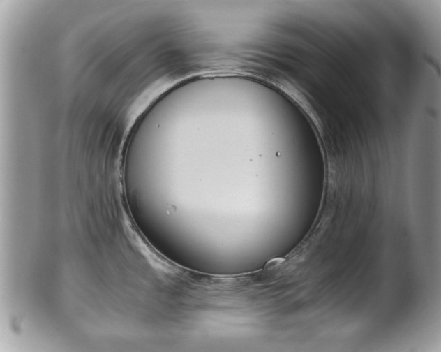 X0000102031485200807251340